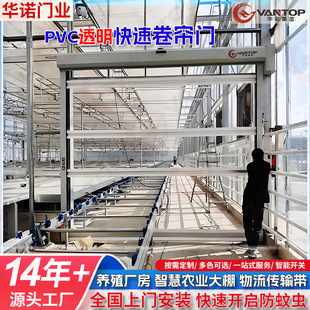 Transparent Fast Rolling Shutter Greenhouse Farm Anti-Mosquito Electric Rolling Shutter Breeding Factory Automatic Induction Fast Door