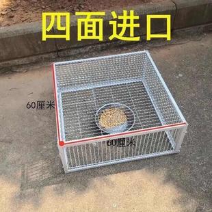 The Door Is Stuck and Cannot Be Opened or Closed. the Pigeon Cage Is Stuck and Cannot Be Opened or Closed. the Pigeon Cage Is Stuck and Cannot Be Opened or Closed. the Pigeon Cage Is Stuck and Cannot Be Opened or Closed. the Pigeon Cage Is Stuck and Cannot Be Opened or Closed. the Pigeon Cage Is Stuck and Cannot Be Opened or Closed