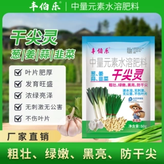 丰伯乐大葱韭菜干尖灵葱蒜黄叶干尖根腐叶斑锈病发霉软防治杀菌剂