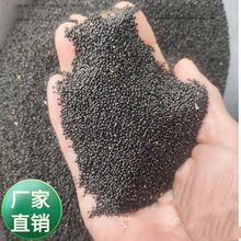 lN^NuڻN uڻ Pβuڻ N