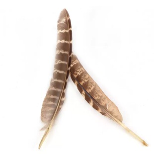 �S��ֱ�Nĸɽ�u������ë���lɽ�uëӡ�ڰ��^��������b͹�