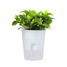 透明塑料花盆 创意双层自动吸水懒人植物圆形盆栽花盆