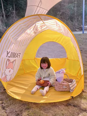 Protection, Windproof Folding Sunshade — Avtomobil dam çadırları