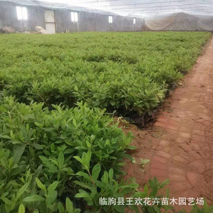 ���N���ݻ��� �������� �G����ľ ���� ���N�����l