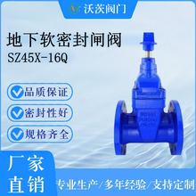 �S��ֱ����������ִ��y�TSZ45X-16QDN100����ܛ�ܷ��l�y�����ܷ�