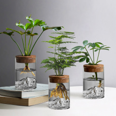 水培植物小鉢植えオフィスデスクトップ鉢植えガラス瓶緑植置物観山瓶小花瓶微景観