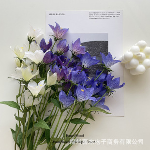 �����Ʒ�|���A�۹� �`�ӿɐ۵�С�仨 С������ �������OӋ �ػ�