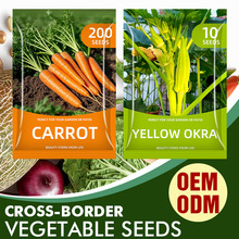 跨境彩色包装菜种子秋冬大全蔬菜种子香菜洋葱皮萝卜番茄四季大全
