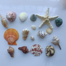 ȻؐݺǲϰֹĔzLƯƿ~bb