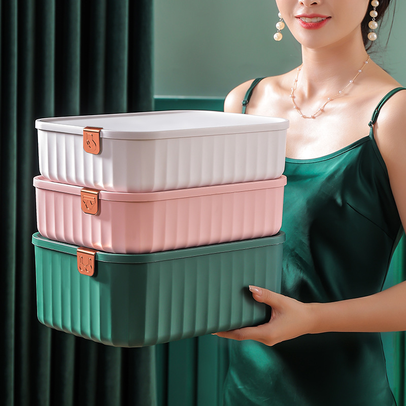 Caja Organizadora de Ropa Interior con Tapa de Plástico Con Compartimentos para el Hogar image 6
