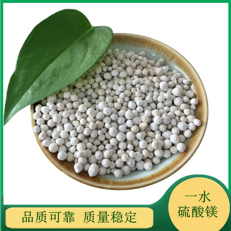 批发饲料级球状一水硫酸镁 99含量一水硫酸镁球 肥料用14168-73-1