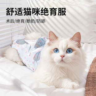 Customized Cat Sterilization Clothing Can Be Sampled and Labeled with a Dog Postoperative Clothing Printing. Customized Dog Sterilization Clothing