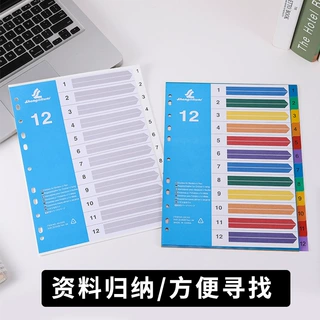 定制分类索引页a4彩色活页替芯文件夹学生文件隔页活页本隔片加工