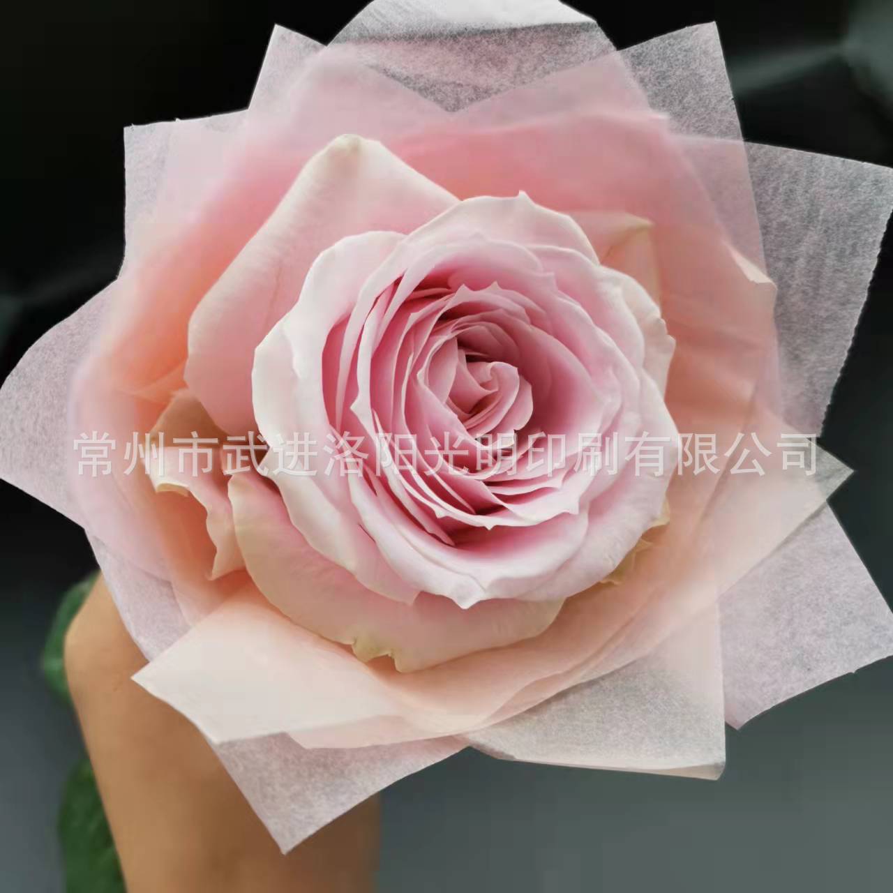 微信图片_202111061239152