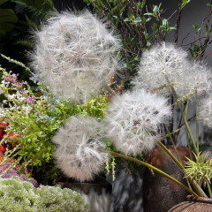 大きいサイズのシミュレーションの花のタンポポの花束の造花の客間は創意のinsの北欧の生け花を並べてピクニックの道具を飾ります。