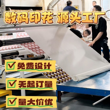 数码印花加工涂料数码直喷涤纶棉布人棉混纺天丝雪纺欧根纱双层纱
