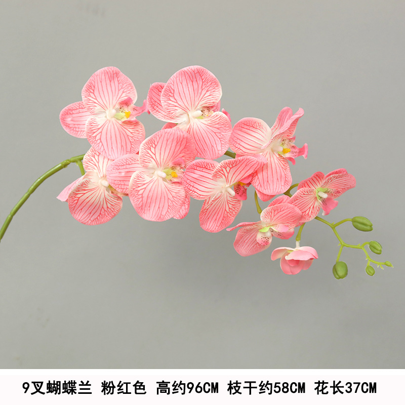 Long 9-head phalaenopsis pink