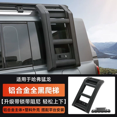 Plus Haval H9 Luggage Rack: Roof rack - haval-raptor-ladder-cut-black-model