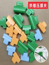 ��Ĥ�AС���￨�۴��ﱡĤ�A�Ӊ�Ĥ��ů���̶�������Ͽ�䓹ܿ���