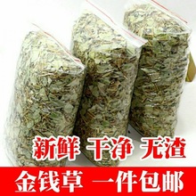 广西大叶金钱500g/50g新货广金钱化溶碎排浊清石茶厂家直销价