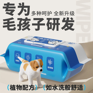 2025 New Pet President Hygiene Wipes 80 Pumps 15*20cm 1 Pack Cleaning Cats and Dogs Pet Care Kittens and Dogs