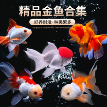 ���~���~���Ӝ���ˮ�~�^�p�~��ˮ�~���w�ݽ��~��С���~���B�����~