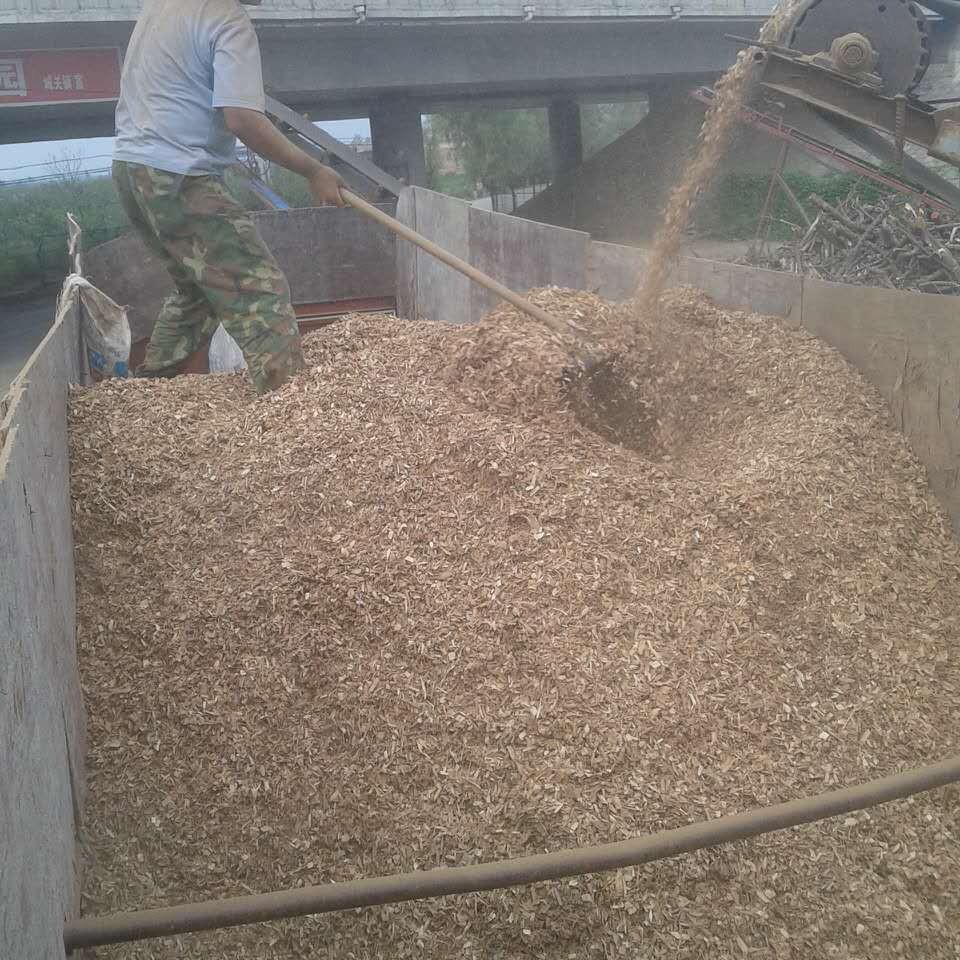 苹果木木屑 陕西苹果木香菇料食用菌苹果树木屑