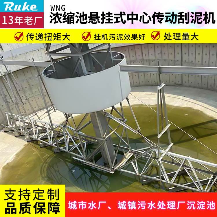 悬挂式中心传动刮泥机 污泥沉淀池污水处理设备便于污泥脱水处理-阿里巴巴