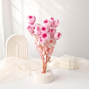 ������õ�廨  ���^õ�� �߼��г�ƷDIY�ֹ��������l�����ֹ�õ��