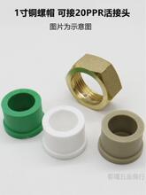 PPR前置过滤器活接头塑料ppr活接片水管维修配件铜活接球阀垒德株