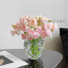 ��ˮ��������ƿ�A�������ה[���͏d�Gֲˮ�B�廨ins�p��D&