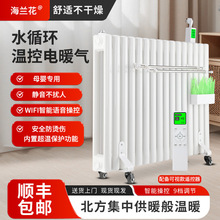 加水电暖器钢制水循环智能注水电加热取暖器家用智能遥控电暖器
