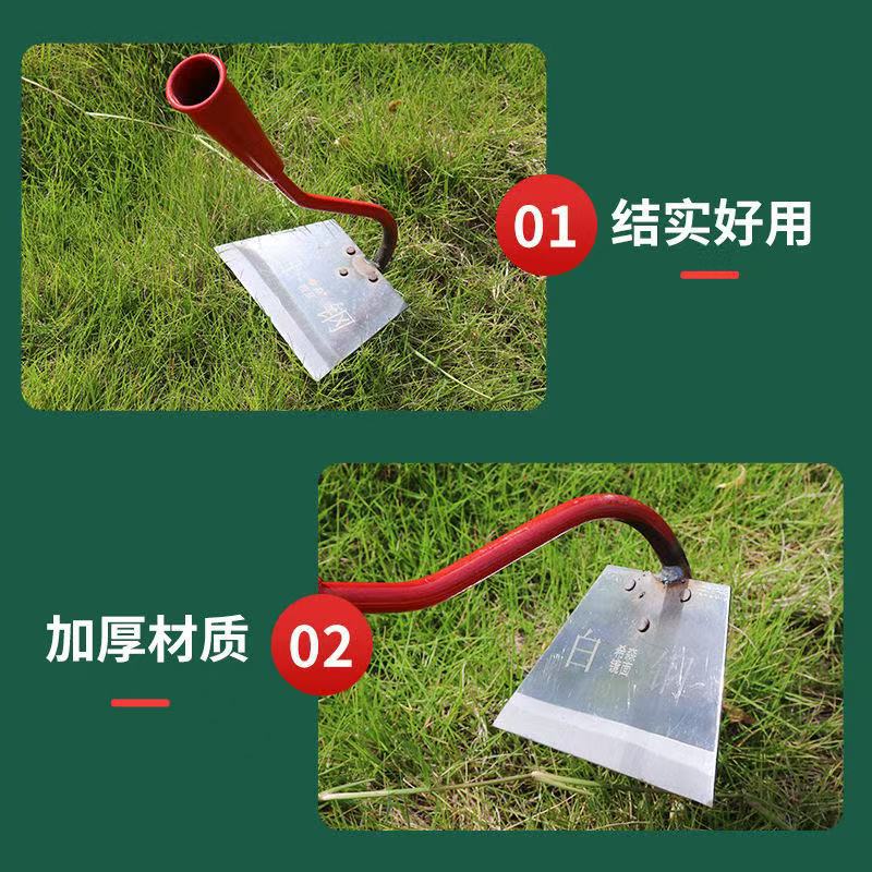 微信图片_202504091130111.jpg