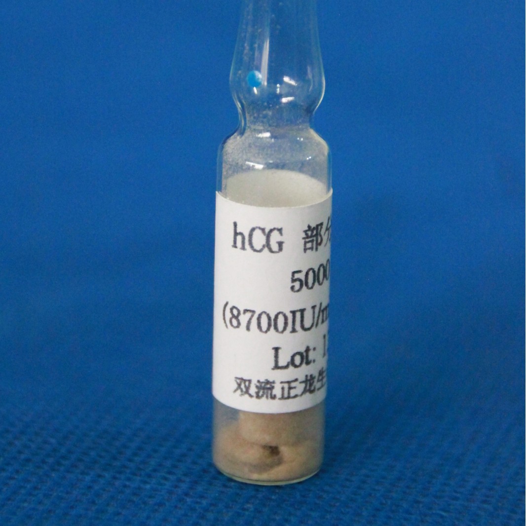 HCG部分纯化品(5KU)（仅科研使用）