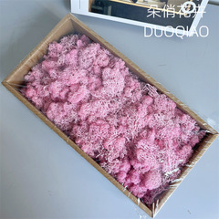 Moss Eternity Flower Plant Wall Green Plant Wall Dried Flower Background Wall Green Plant Fluffy Yunnan Real Flower