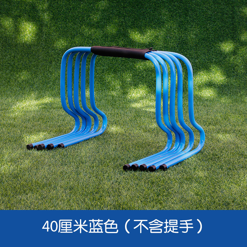 40cm 블루 허들 1