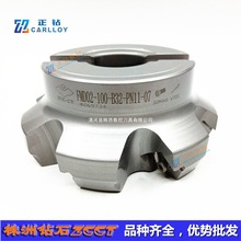 Zʯ㊵PFMD02-100-B32-PN11-07