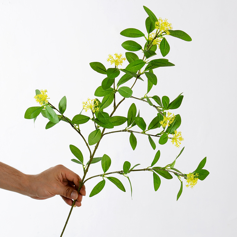 仿真植物葉材帶果冰島仙果葉尤加利葉帶米翠果 北歐ins仿真花假花