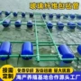 无碱遮阳纤维树木支撑杆