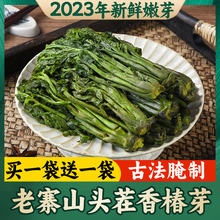 香椿芽咸菜山东特产露天头茬新鲜香春芽腌制下饭菜拌面即食速食菜