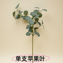 16��O���~���Sֱ�N��Y���þƵ��bӼ��b�Ʒ��c���滨ֲ��