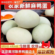 鸭子浙江30蛋鸭蛋新鲜青皮枚土鲜生鸭蛋新鲜青壳散养农家中国大陆