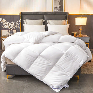 New hotel hotel high-grade feather velvet quilt thickened student dormitory winter quilt homestay spring and autumn quilt core home wholesale