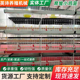 四层立式育雏笼小鸡笼畜牧专业养鸡设备镀锌防锈鸡笼子出栏率高