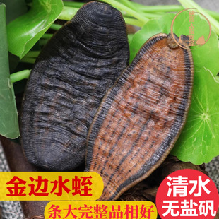 ��߅ˮ�θ�Ұ���Xˮ�Οo��Λ��l���w��Λ��ˮ�η�500g���]