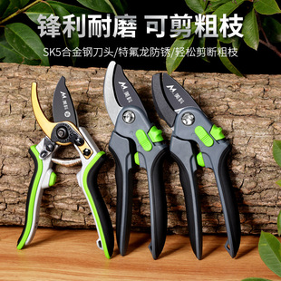 Tools Fruit Tree Scissors Cutters Flower Scissors Pruning Shears Gardener Tree Branches Fruit Branches Pruning Labor-saving Shears Garden