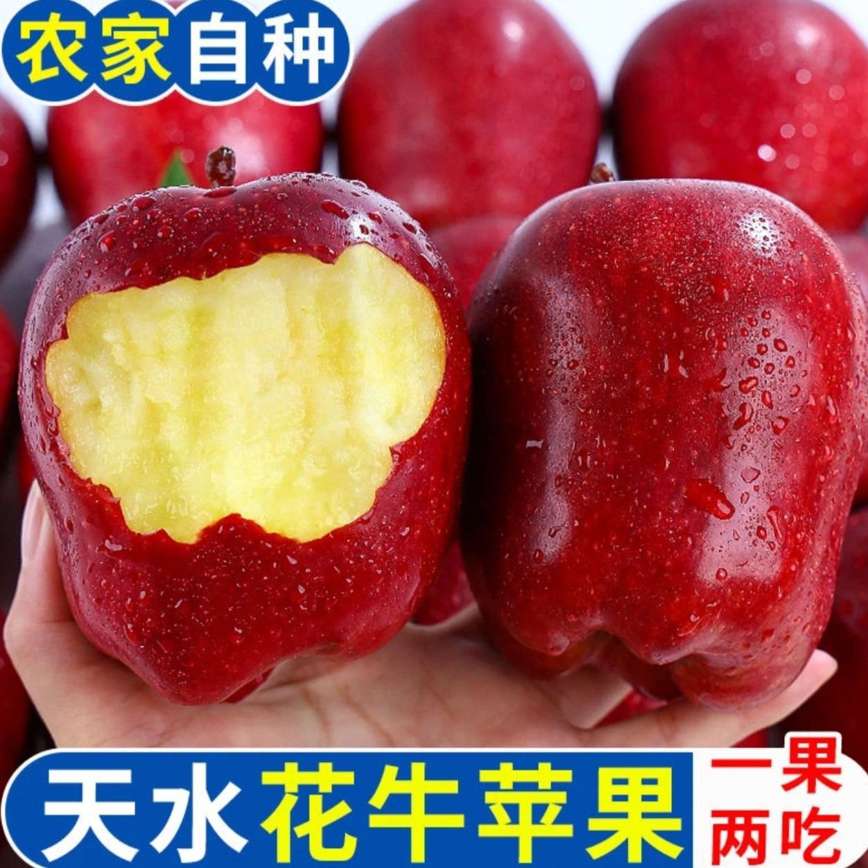 甘肃天水花牛苹果新鲜水果当季正宗平果红蛇粉面丑果整箱一件代发