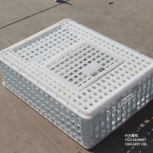 成鸡 免 鸽子 山鸡 鸭子等活禽类动物装载周转及长途运输筐子