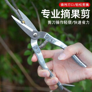 Stainless Steel Garden Branch Shears Garden Pruning Shears Orchard Thin Fruit Shears Fruit Picking Shears Fruit Picking Shears Multi-purpose Garden Shears