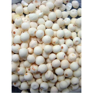 2026���r�괨�u�^�׵Ĺ�Ч�K���͌���؛500g���u�����u�^�׹��خa
